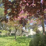 Holiday home Hedoniste 1 Herpy-l'Arlesienne