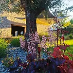 Hedoniste 1 Holiday home Herpy-l'Arlesienne