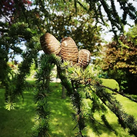 Hedoniste 1 Herpy-l'Arlesienne