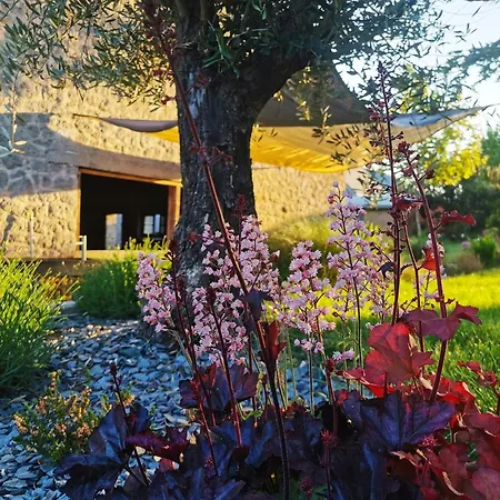 Hedoniste 1 Holiday home Herpy-l'Arlesienne